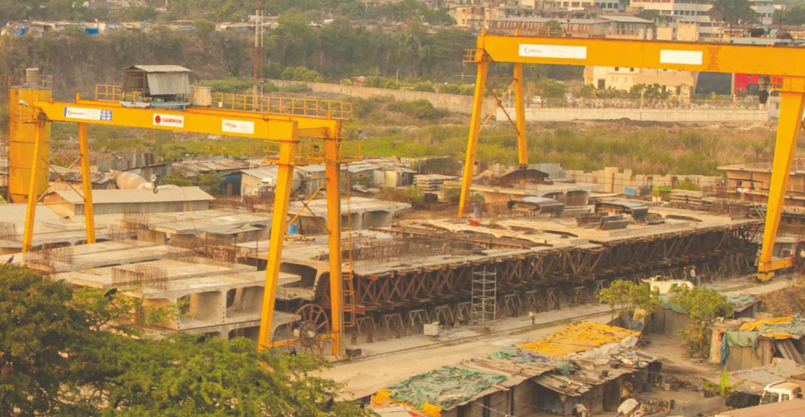 cranes 1
